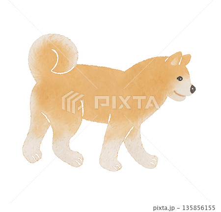 かわいい犬のやさしい手描き風イラスト｜犬 柴犬 秋田犬のイラスト素材