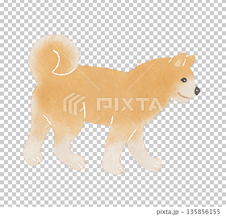 可愛的狗狗插畫,風格柔和的手繪 | 狗狗,柴犬,秋田犬 可愛的狗狗插畫,風格柔和的手繪 | 狗狗,柴犬,秋田犬 135856155