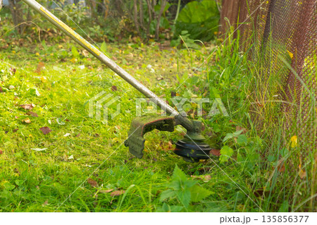 Grass trimmer cutting tall grass in the garden, close up view of a brushcutter for yard work, property maintenance and landscaping concept. Grass trimmer cutting tall grass in the garden, close up view of a brushcutter for yard work, property maintenance and landscaping concept. 135856377