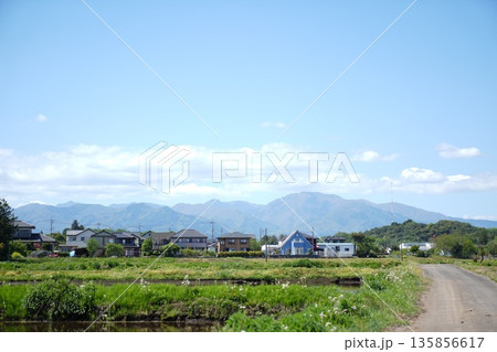 長閑な風景 135856617