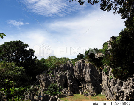 アスムイハイクス 135856807