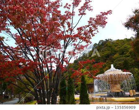 昇仙峡の風景 135856909