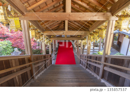 光明寺 秋 紅葉の季節 光明寺 秋 紅葉の季節 135857537