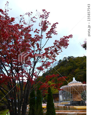 紅葉のある風景 135857543