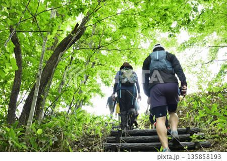 清里町江南冒険の森 清里町江南冒険の森 135858193