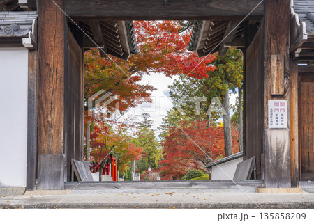 多田神社 西門 紅葉の季節 多田神社 西門 紅葉の季節 135858209