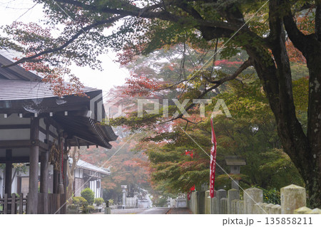 桑田神社　紅葉の季節 135858211