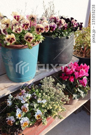 花台に置かれた花の寄せ植え&寄せ鉢 花台に置かれた花の寄せ植え&寄せ鉢 135858238