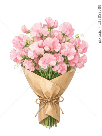ピンク色のスイートピーの花束のイラスト 135858389