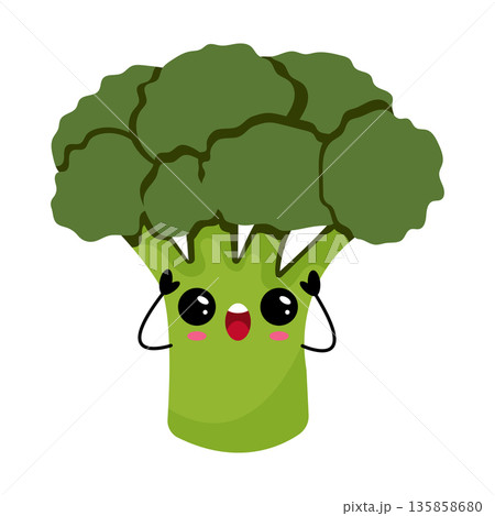 Cute kawaii broccoli character vector illustration Cute kawaii broccoli character vector illustration 135858680