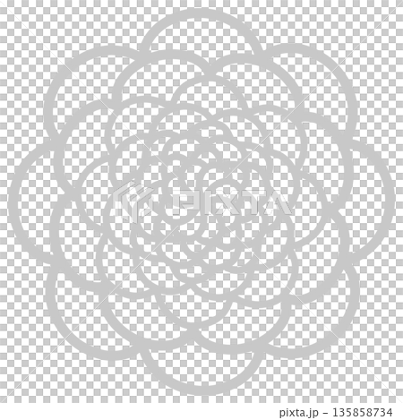 Gray flower with many petals Gray flower with many petals 135858734