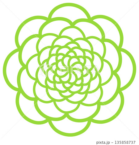 黄緑色のたくさんの花びらの花 黄緑色のたくさんの花びらの花 135858737