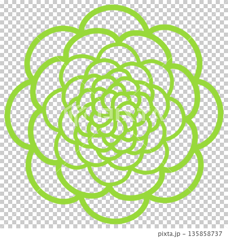 黃綠色多瓣花 黃綠色多瓣花 135858737