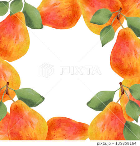 Square frame of yellow pears. Watercolor illustration. Fruit background with space for text. Hand-drawn isolated art. Vegetarian products, organic food. For juice packaging, menus, seasonal projects Square frame of yellow pears. Watercolor illustration. Fruit background with space for text. Hand-drawn isolated art. Vegetarian products, organic food. For juice packaging, menus, seasonal projects 135859164
