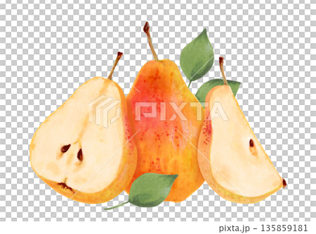 Composition of a yellow pear with leaves and fruit slices. Botanical watercolor illustration. Organic food sketch. Hand-drawn, isolated art. Healthy tree fruits for juice design, menus, and packaging Composition of a yellow pear with leaves and fruit slices. Botanical watercolor illustration. Organic food sketch. Hand-drawn, isolated art. Healthy tree fruits for juice design, menus, and packaging 135859181