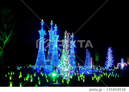 イルミネーション　寒河江市 135859536