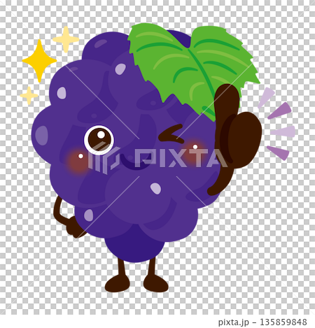 葡萄圖案插圖預示著好兆頭 葡萄圖案插圖預示著好兆頭 135859848