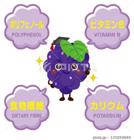 ブドウのキャラクターとブドウに含まれる成分イラスト ブドウのキャラクターとブドウに含まれる成分イラスト 135859849
