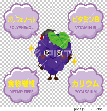 葡萄的特徵及葡萄成分圖示 葡萄的特徵及葡萄成分圖示 135859849