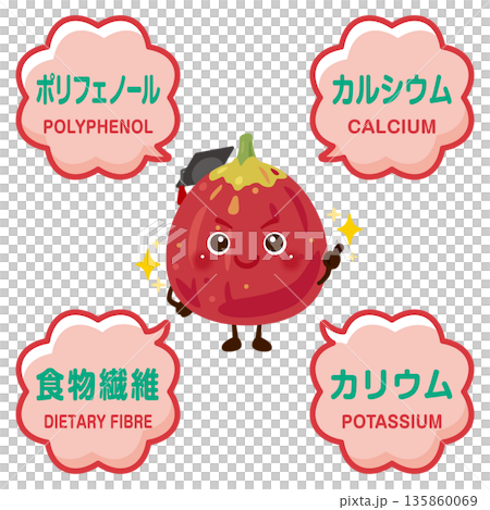 無花果的圖像插圖以及無花果所含的成分 無花果的圖像插圖以及無花果所含的成分 135860069