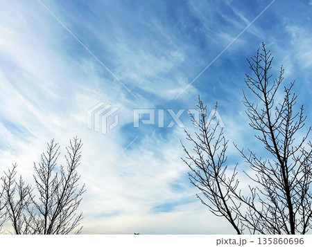 青い空と白い雲 青い空と白い雲 135860696