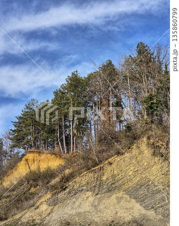 Erosion of sand and clay slope with pine forest and landslide risk. 135860799