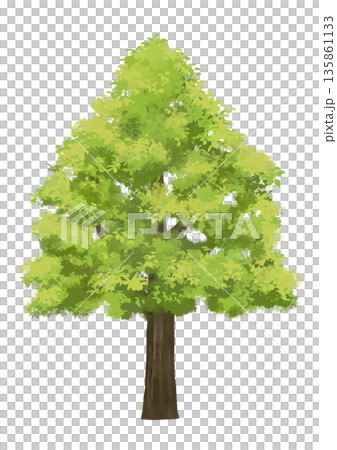 Illustration of a tree with lush green leaves 135861133