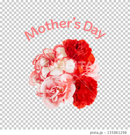 Mother's Day red and pink carnation bouquet background on white background Mother's Day red and pink carnation bouquet background on white background 135861298