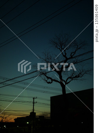 夕暮れの風景 135861409