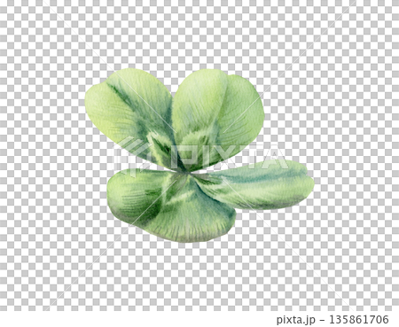 Rare four leaf clover,iconic symbol of luck and Saint Patricks Day.Watercolor vibrant green clip art with delicate detail for holiday cards,Irish themed designs,festive spring branding,wedding 135861706