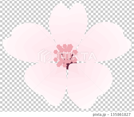 桜,シンプルでやさしい春の花イラスト 桜,シンプルでやさしい春の花イラスト 135861827