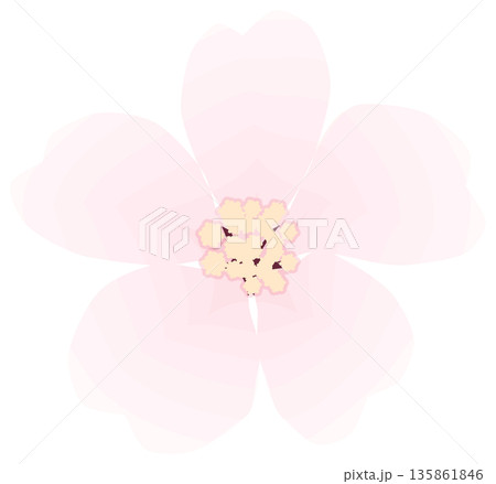 桜，シンプルでやさしい春の花イラスト 135861846