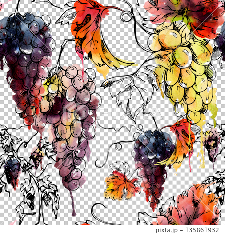 Repeating vineyard seamless pattern of botanical grape bunches, leafy vine tendrils, shoots in watercolor and ink. Wine labels, natural food gift wrap, fabric design and gourmet product styling. 135861932