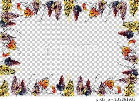 Border frame of ripe grapes hanging clusters with tendril shoot curls in watercolor wet bleed, ink line. Wine labels, tour brochures, wrapping accents, restaurant branding, gourmet product identity. Border frame of ripe grapes hanging clusters with tendril shoot curls in watercolor wet bleed, ink line. Wine labels, tour brochures, wrapping accents, restaurant branding, gourmet product identity. 135861933