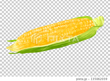新鮮玉米插圖 新鮮玉米插圖 135862039