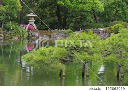 兼六園 霞ヶ池と徽軫灯籠 兼六園 霞ヶ池と徽軫灯籠 135862069