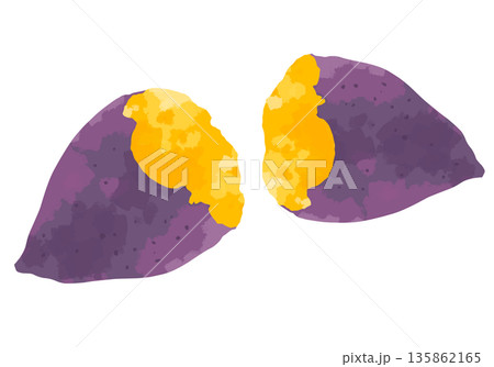 ホクホクで美味しそうな焼き芋のイラスト 135862165