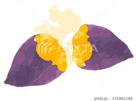 ホクホクで美味しそうな焼き芋のイラスト ホクホクで美味しそうな焼き芋のイラスト 135862166