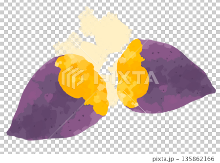 ホクホクで美味しそうな焼き芋のイラスト ホクホクで美味しそうな焼き芋のイラスト 135862166