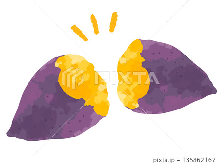 ふたつに割った美味しそうな焼き芋のイラスト 135862167