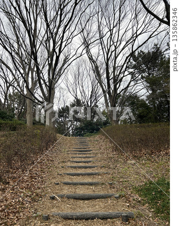 冬の公園と階段 135862346