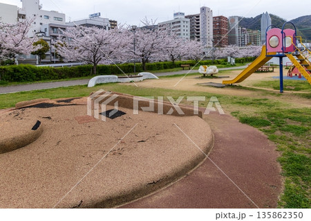 神戸市中央区生田川沿い・満開の桜 135862350