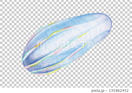 深海水母，水母，深海生物，水彩插圖 135862452