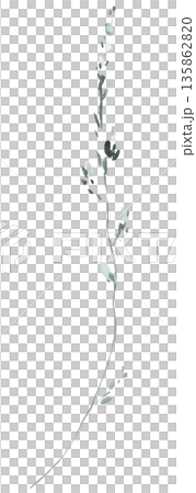 Watercolor twig with light green leaves isolated illustration, pastel wedding stationery element 135862820