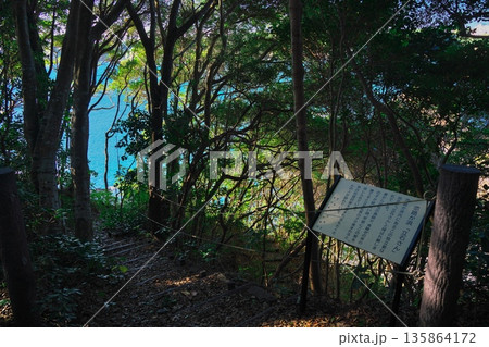 初冬の鳥羽市相差町　木漏れ日の鯨崎遊歩道から恋路ヶ浜へ降りる道 135864172