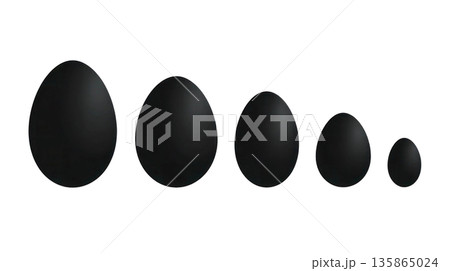 Black decorative eggs arranged in a gradient from large to small, showcasing a modern design suitable for Easter celebrations and seasonal decor. Isolated on transparent background. 135865024