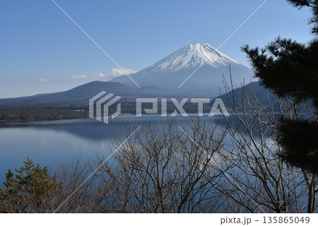 本栖湖 湖畔からの富士山 本栖湖 湖畔からの富士山 135865049