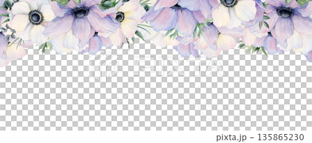 Pastel violet and white filed poppies watercolor upper banner. Light purple anemone flowers hand drawn isolated illustration. Botanical floral horizontal template with wildflowers for spring designs 135865230