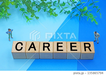 Careerと書かれたブロック 135865794