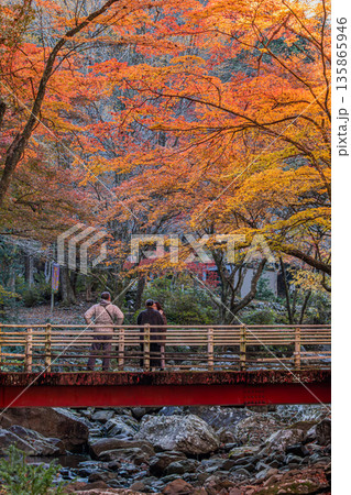 岡崎市のくらがり渓谷の風景(愛知県) 135865946